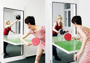 ping pong door